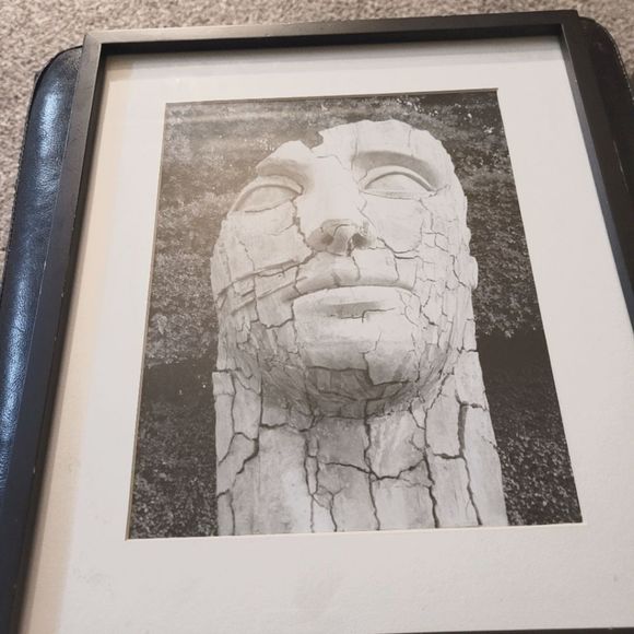 Rare Woods High Quality Frames Wall Decor Stellarunique Giant Head